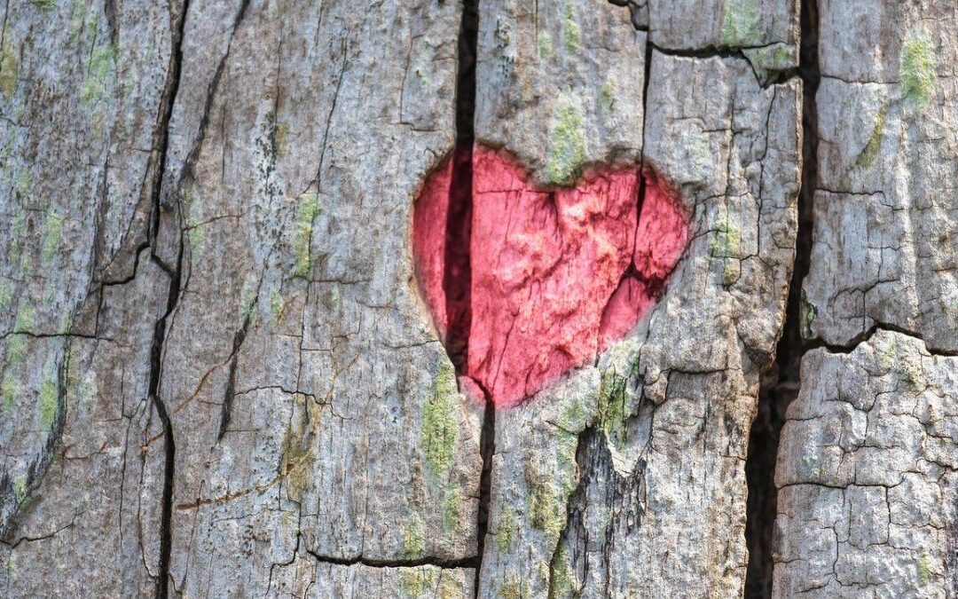 A Dying Heart’s Dream